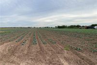 Land for sale in Hidalgo County, Texas