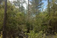 Land for sale in Wayne County, Mississippi
