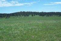 Land for sale in Custer County, South Dakota