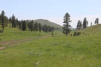 Land for sale in Custer County, South Dakota