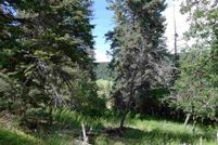 Homesite for sale in Otero County, New Mexico