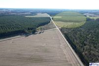 Land for sale in Dillon County, South Carolina