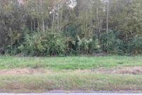 Land for sale in Dillon County, South Carolina