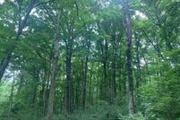 Homesite for sale in Perry County, Indiana
