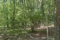 Homesite for sale in Clare County, Michigan