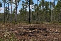 Land for sale in Lanier County, Georgia