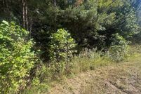 Undeveloped Land for sale in Wilkes County, North Carolina