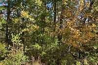 Lakefront Property for sale in Sharp County, Arkansas