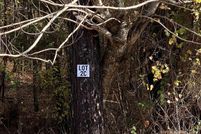 Land for sale in Lonoke County, Arkansas