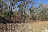 Land for sale in Cleburne County, Arkansas