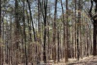 Homesite for sale in Garland County, Arkansas