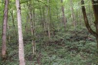 Land for sale in Floyd County, Kentucky