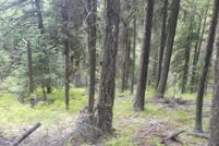 Land for sale in Asotin County, Washington