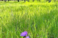 Land for sale in Tuolumne County, California