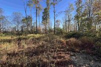 Land for sale in Tucker County, West Virginia