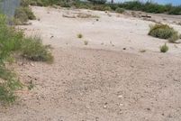 Undeveloped Land for sale in Ward County, Texas