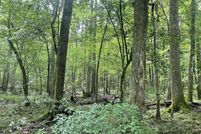 Land for sale in Jefferson Davis County, Mississippi