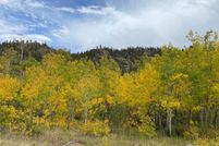 Homesite for sale in Larimer County, Colorado