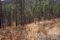 Homesite for sale in Larimer County, Colorado