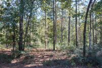 Homesite for sale in Forrest County, Mississippi