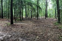 Homesite for sale in Lee County, Alabama