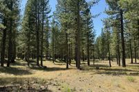 Land for sale in Plumas County, California