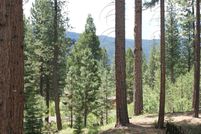 Land for sale in Plumas County, California