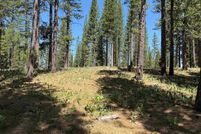 Land for sale in Plumas County, California