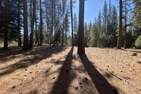 Land for sale in Plumas County, California