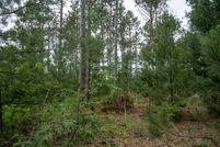 Homesite for sale in Wood County, Wisconsin