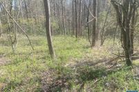 Homesite for sale in Albemarle County, Virginia