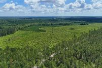 Farm and Ranch for sale in Wayne County, Georgia