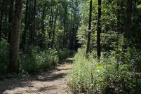 Land for sale in Whitfield County, Georgia