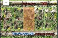 Undeveloped Land for sale in Polk County, Florida