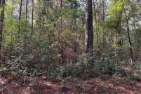 Homesite for sale in DeSoto Parish, Louisiana