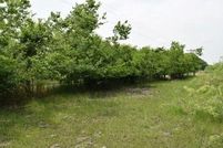 Land for sale in Kaufman County, Texas