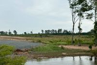 Land for sale in Sabine Parish, Louisiana