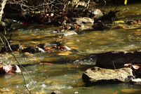 Homesite for sale in Pushmataha County, Oklahoma