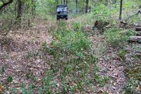 Land for sale in Pushmataha County, Oklahoma