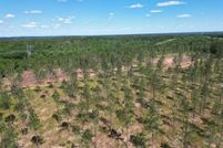 Land for sale in Pike County, Alabama