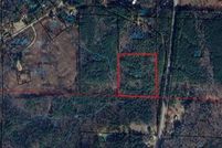 Land for sale in Winston County, Alabama