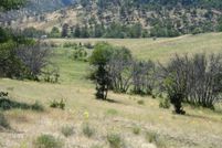 Undeveloped Land for sale in Siskiyou County, California