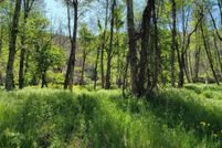 Land for sale in Siskiyou County, California