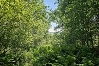 Homesite for sale in Bayfield County, Wisconsin
