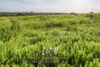 Land for sale in Washington County, Texas