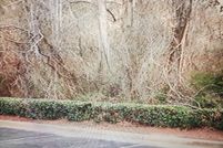 Land for sale in Spartanburg County, South Carolina