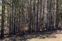 Land for sale in DeKalb County, Alabama