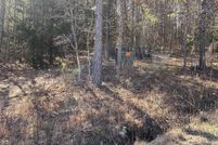 Land for sale in DeKalb County, Alabama