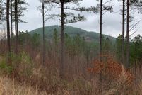 Land for sale in Union County, Georgia