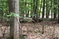 Undeveloped Land for sale in Clinton County, Michigan